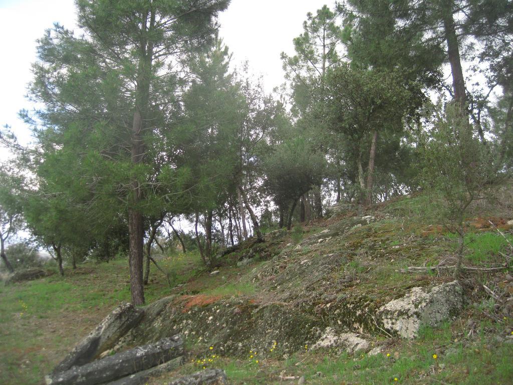 Quinta Santa Isabel Villa Chaves Eksteriør bilde
